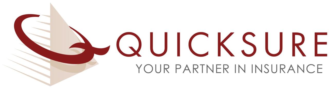 Quicksure logo